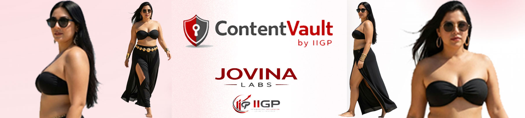 ContentVault banner